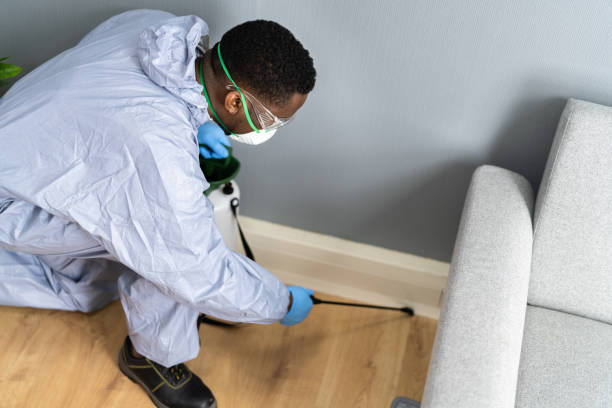 Real Estate Pest Inspections